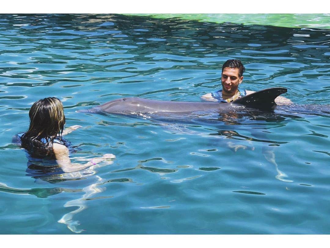 のインスタグラム：「😍❤️💑🐬🐬」