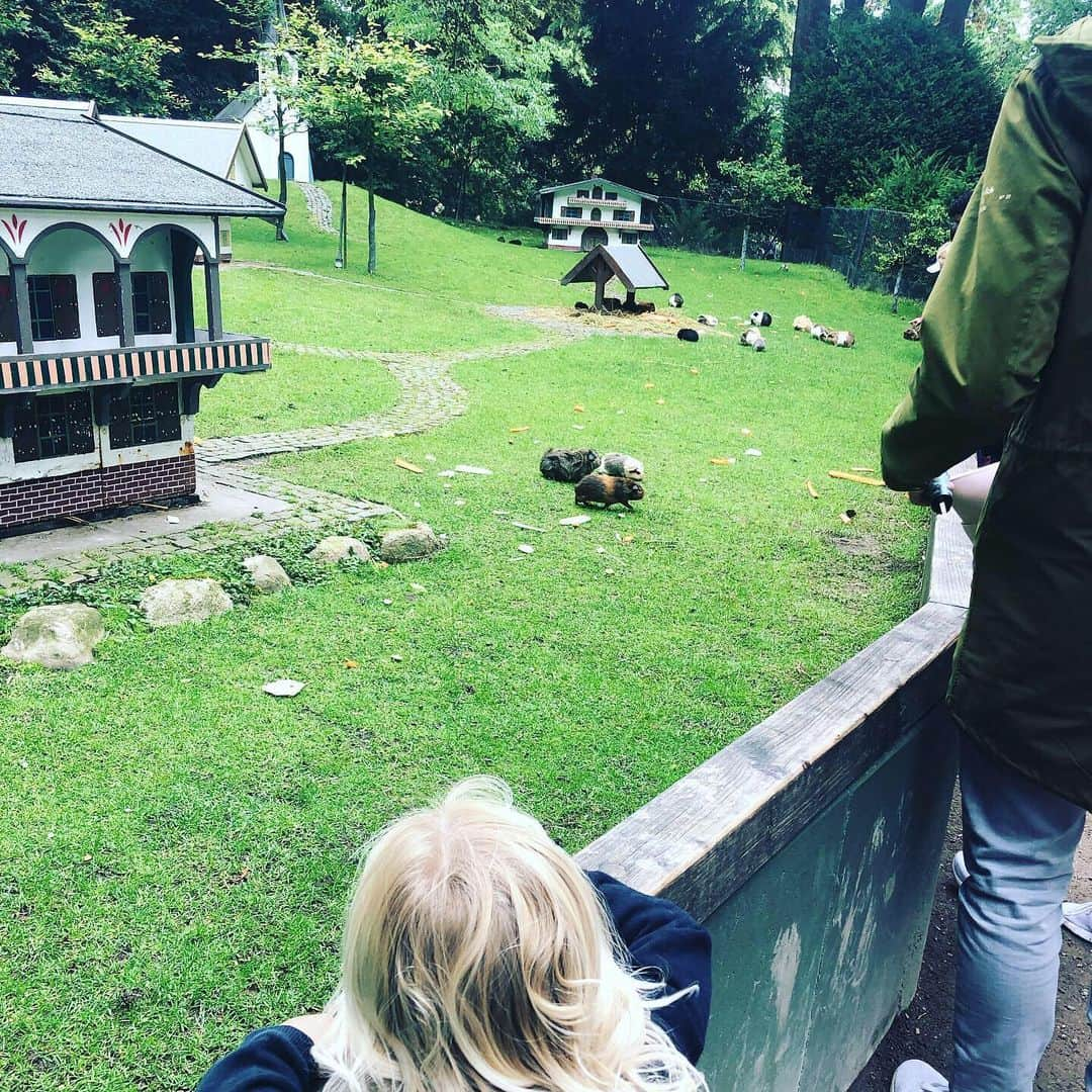 P!nk（ピンク）さんのインスタグラム写真 - (P!nk（ピンク）Instagram)「I would also like to point out that there are GUINEA PIGS in captivity here but they at least go to church like good Christian guinea pigs. Not that all Christians are good. I didn’t mean to offend the non good Christians.」7月9日 8時30分 - pink