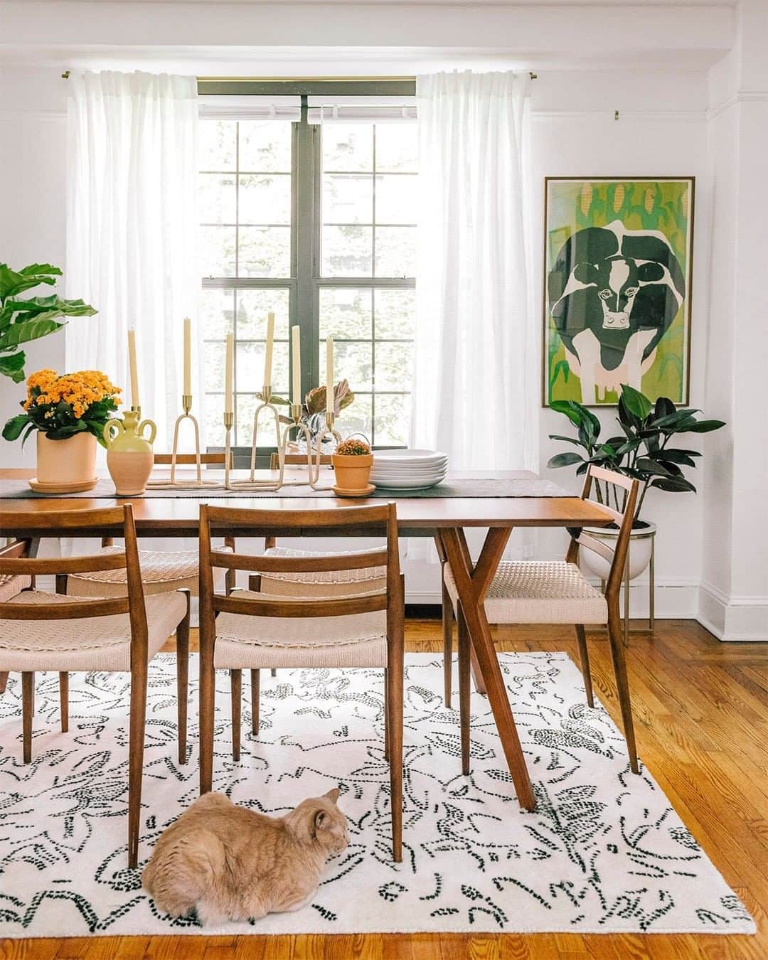 west elmさんのインスタグラム写真 - (west elmInstagram)「Thomas the cat is saving our seat in @yummertime's dining room! Check out their NYC apartment by the @westelmchelsea #designcrew with the link in our bio. 😺#midcenturyfurniture #chelseanyc #nycapartment #westelmdesigncrew #smallspacedesign #catsofwestelm」7月9日 9時19分 - westelm