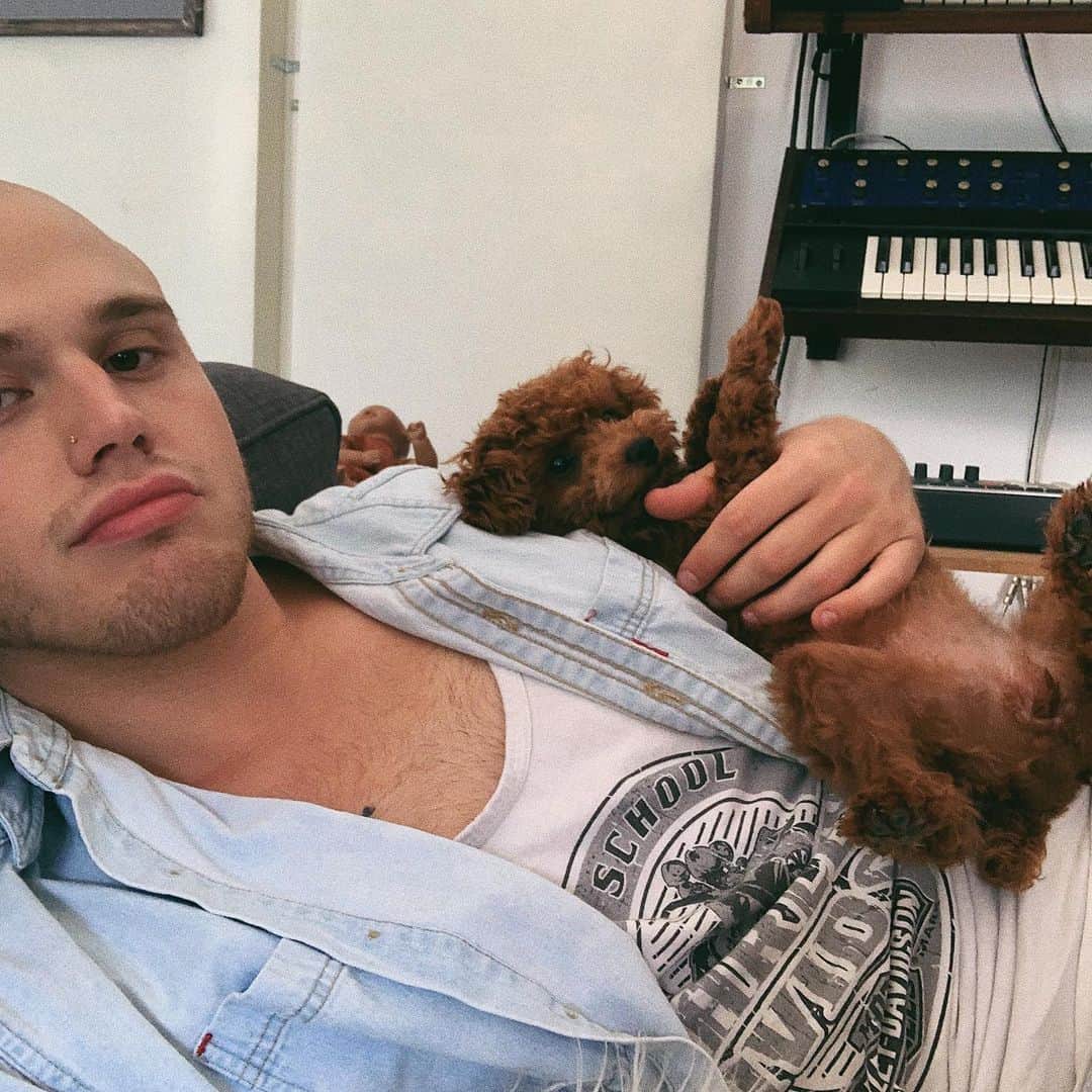 ブランドン・シェイアのインスタグラム：「Normally I have a really intense curating process when posting photos to my Instagram feed but this dog just fucked up my whole life & I don’t to share her beauty with you. Say hello Roux 👋」