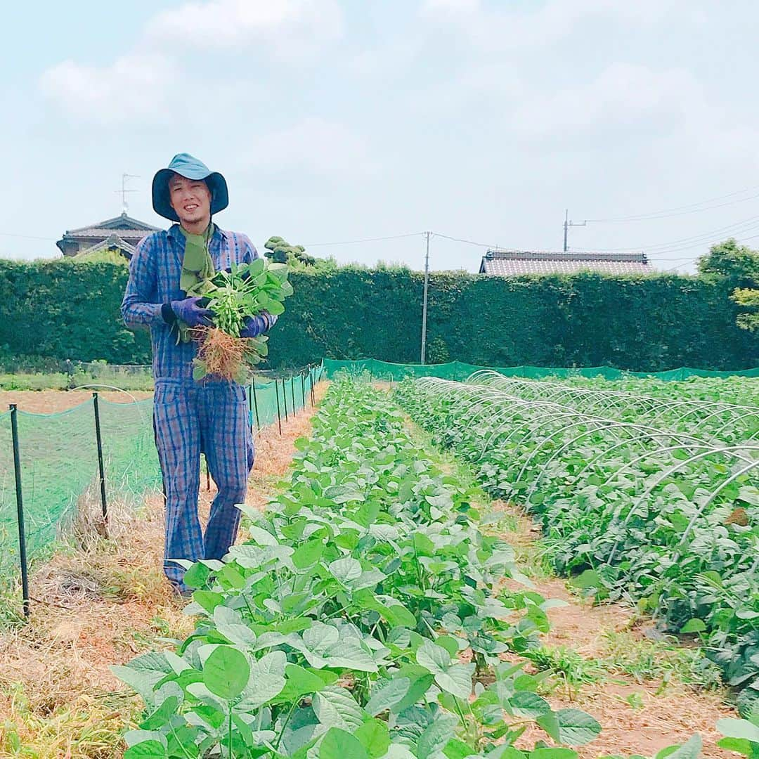 川瀬良子さんのインスタグラム写真 - (川瀬良子Instagram)「食文化発信webマガジン【umamiのくにから】の中の連載『恵みのくにへ。』 vol.7 ～夏の味覚「枝豆」産地を訪ねて～  公開されました！！ （写真5枚あります😊） 🌱 取材に行って、 記事も一生懸命書かせていただいております♪ ぜひ！ 読んで下さいね😊 🌱 枝豆ってかわい〜💚 そして、採れたて茹でたて おいしかったぁぁぁ😆🤤🌈 🌱 「umamiのくにから」または「恵みのくにへ」で検索してみて下さいね！ 🌱 #umamiのくにから #恵みのくにへ #うまみのおべんきょう #やまや #うまだし #千葉県 #野田市 #枝豆 #エダマメ #サヤムスメ #湯上り娘 #味風香 #農業 #agriculture #農家 さん #新規就農 #畑 #長靴 🌱 #やまや @yamayafan  #tan-su  @tansu.yamaguchi  @tansu.ochanoma  #まめちゃん @tofu_a_day  #AIGLE @aiglejp  #実のる屋 さん @3noru8  ありがとうございました😆👏🏻👏🏻👏🏻」7月9日 9時38分 - kawase_ryoko