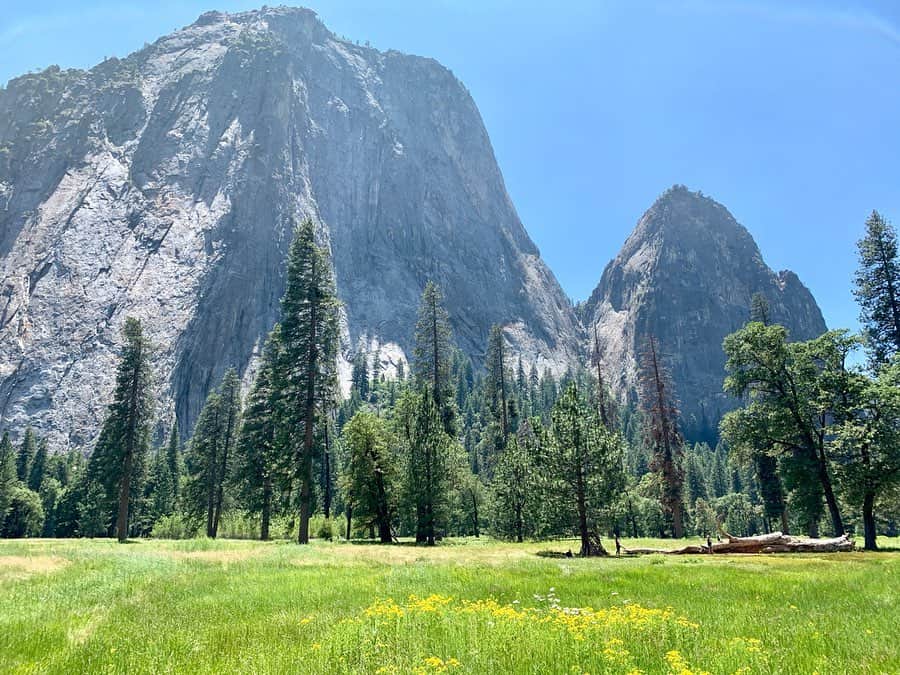 ルーシー・ヘイルさんのインスタグラム写真 - (ルーシー・ヘイルInstagram)「Ok Yosemite, I see you ❤️」7月9日 9時45分 - lucyhale