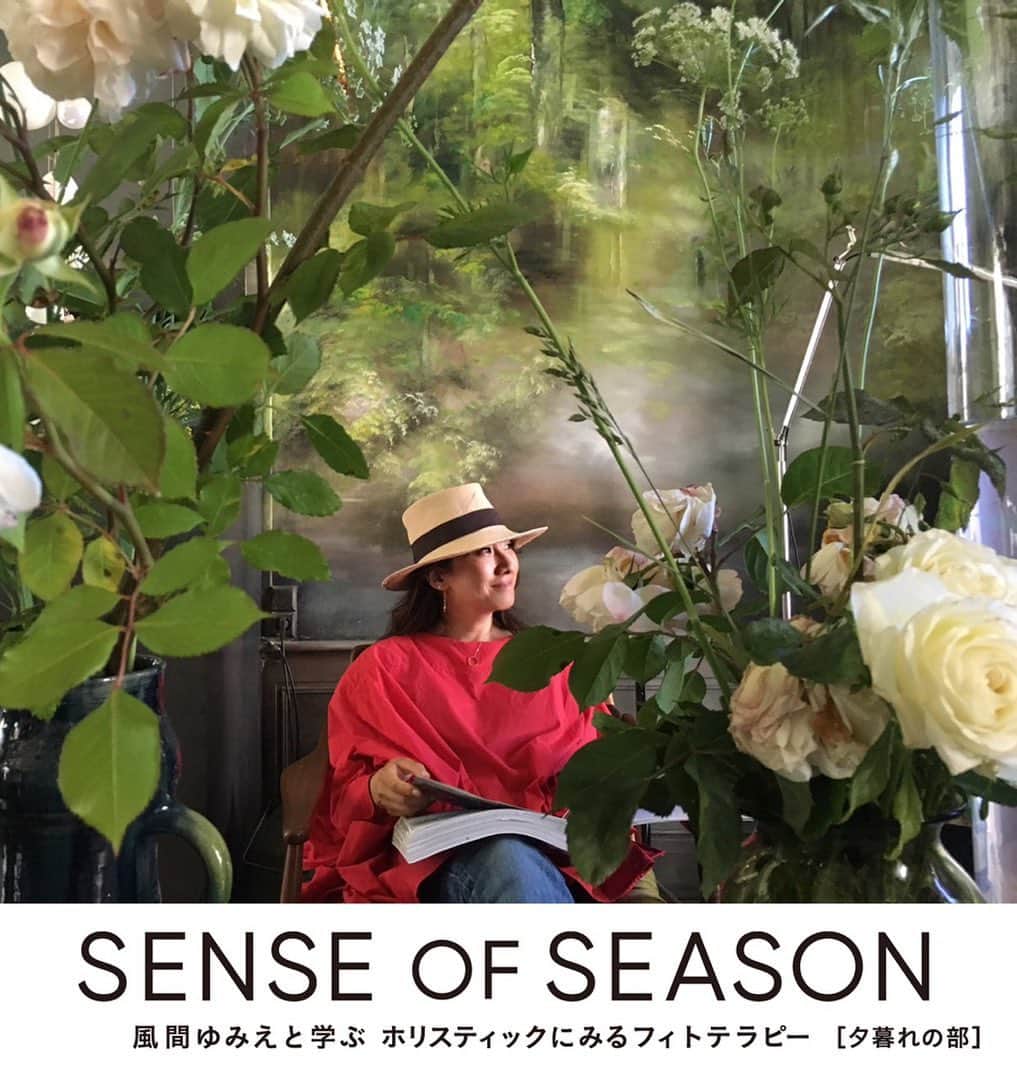 風間ゆみえのインスタグラム：「皆さまに、フィトテラピーセミナーのお知らせです🌿😊✨ SENCE OF SEASON 「ホリスティックに学ぶフィトテラピー」 8月5日 夕暮れの部 《手放そう‼︎ あなたの不調は持ち物じゃない 》 〜フィトテラピーで整えるセルフケア方法〜 (17時30分開場)18時〜20時30分  フィトテラピーセミナー夕暮れの部では、「私は、頭痛持ち、めまい持ち、生理痛持ちだから」というような不調の持ち物を手放す為の、日常のセルフケア方法を皆さまと学びます‼︎ SENCE OF SEASON 宝島社 @otonamuse にて連載でお届けしている季節に合わせたフィトテラピーケア(現在リニューアル準備中)。今後もその時々、タイムリーに女性が抱える多くの悩みを日々のセルフケアで整え、毎日を笑顔で、幸せな日常を感じ取ることが得意な、潤いのある女性を目指して、巡りのよい身体を作ることを一緒に学んで行きましょう‼︎ ようやく始動したフィトテラピーセミナー第一回目 夕暮れの部では、「潤うからだ」「枯れないからだ」「自然ぐすり」「自然のお守りぐすり」などの著書から、女性が潤うという本当の意味を啓蒙し続ける、ルボアフィトテラピースクールの代表で、私の恩師で、友人でもある、森田敦子さんがゲストとして応援に駆けつけてくれることになりました‼︎ ☺️🙏✨✨✨✨ @atsuko1705  @lebois_phytotherapy_school  @intimeorganiquejp  今回のセミナーテーマは、不調を手放すためのセルフケアになりますが、敦子さんの説く“デリケートゾーンのケア” これは、女性にとって、ファーストプライオリティと言っても過言ではないほど大切なことです。来ていただけるなら是非、お話いただきたい‼︎ とリクエストしたところ快くOKいただきましたので、皆さまにとってもとても素晴らしい、スペシャルなセルフケアセミナーになりそうです✨✨ そして、セミナー後半には、昼の部同様に、皆さまのお悩みなどを伺ってのフリーセッションの時間ももうけていますので、皆さまで毎日の暮らしが楽しくなるような日常のケアをたくさん学びましょう‼︎‼︎😊✨✨✨」
