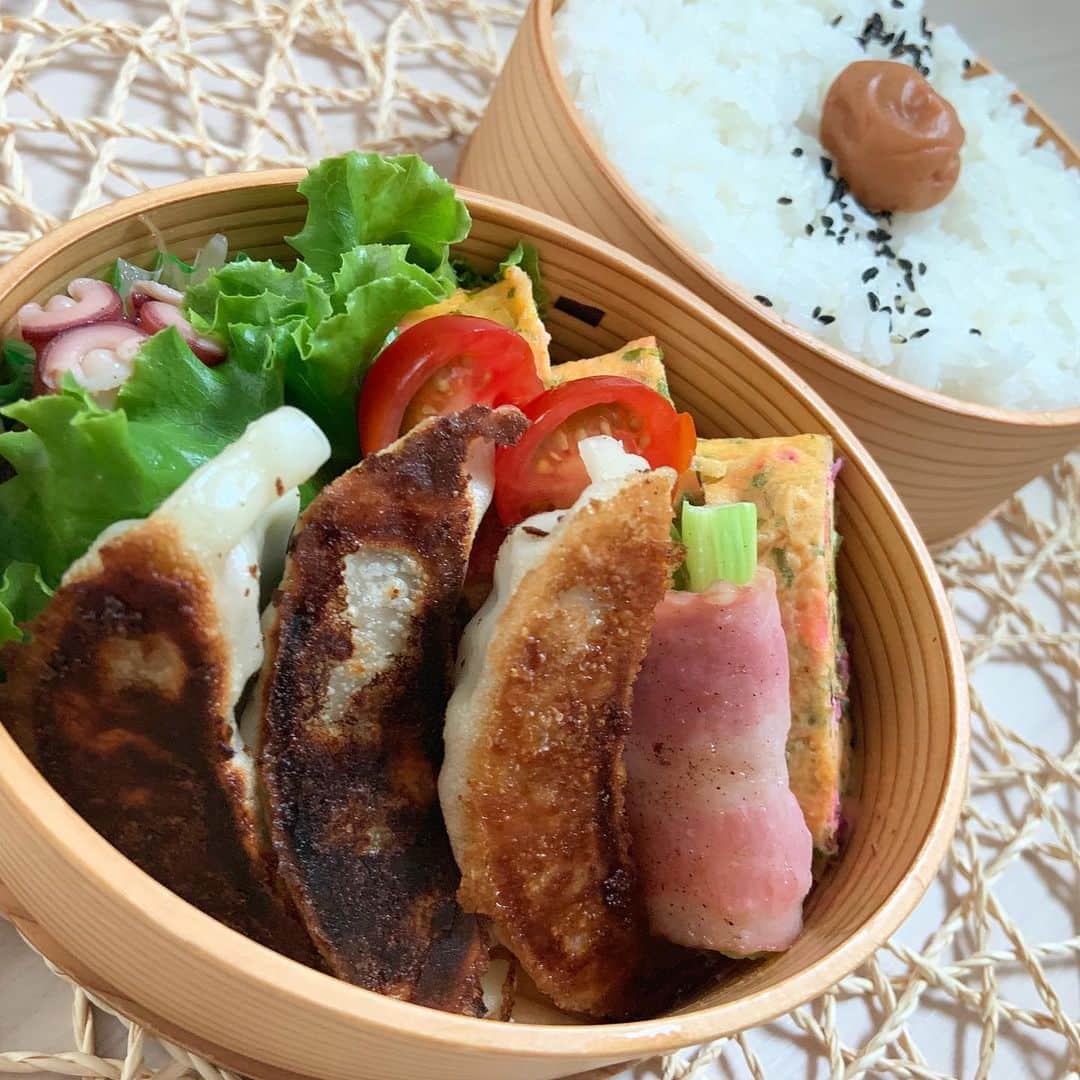本田しおりのインスタグラム：「#今日のお弁当  #餃子弁当 #焼肉弁当 #餃子#焼肉#あおさと柴漬け入り卵焼き#タコと大葉ともやしのバター醤油炒め#アスパラベーコン#ウインナー  #お弁当 #本田弁当 #旦那さん弁当 #神ちゃん弁当  #神弁」