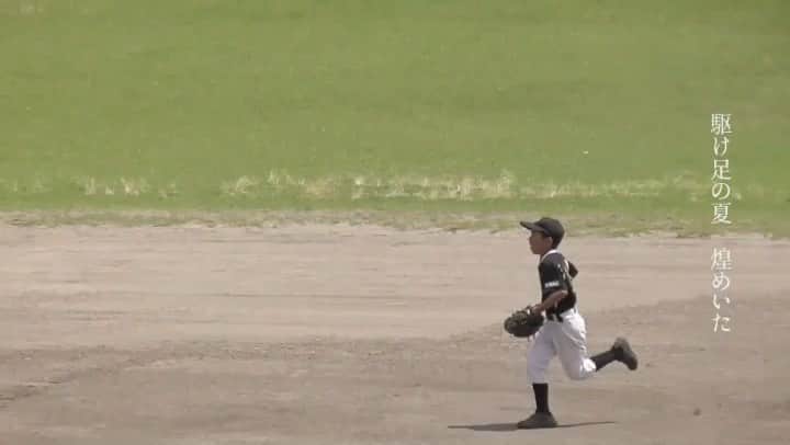 LOVEのインスタグラム：「MV公開！ フルはYoutubeで⚾️👀 #なんというか #全力っていいね #見てるだけで勇気出たり #応援したくなったり #はたまた応援されたり #それでまた自分を頑張れたり #負けてなお #誰かの勇気になれたり #悔しくてもボール追いかけ続けて #勝っても背負うものがあったり #その分ちゃんと喜べたりするのは #全力だからなんですね #生きるって素晴らしいね  #1000日の夏」