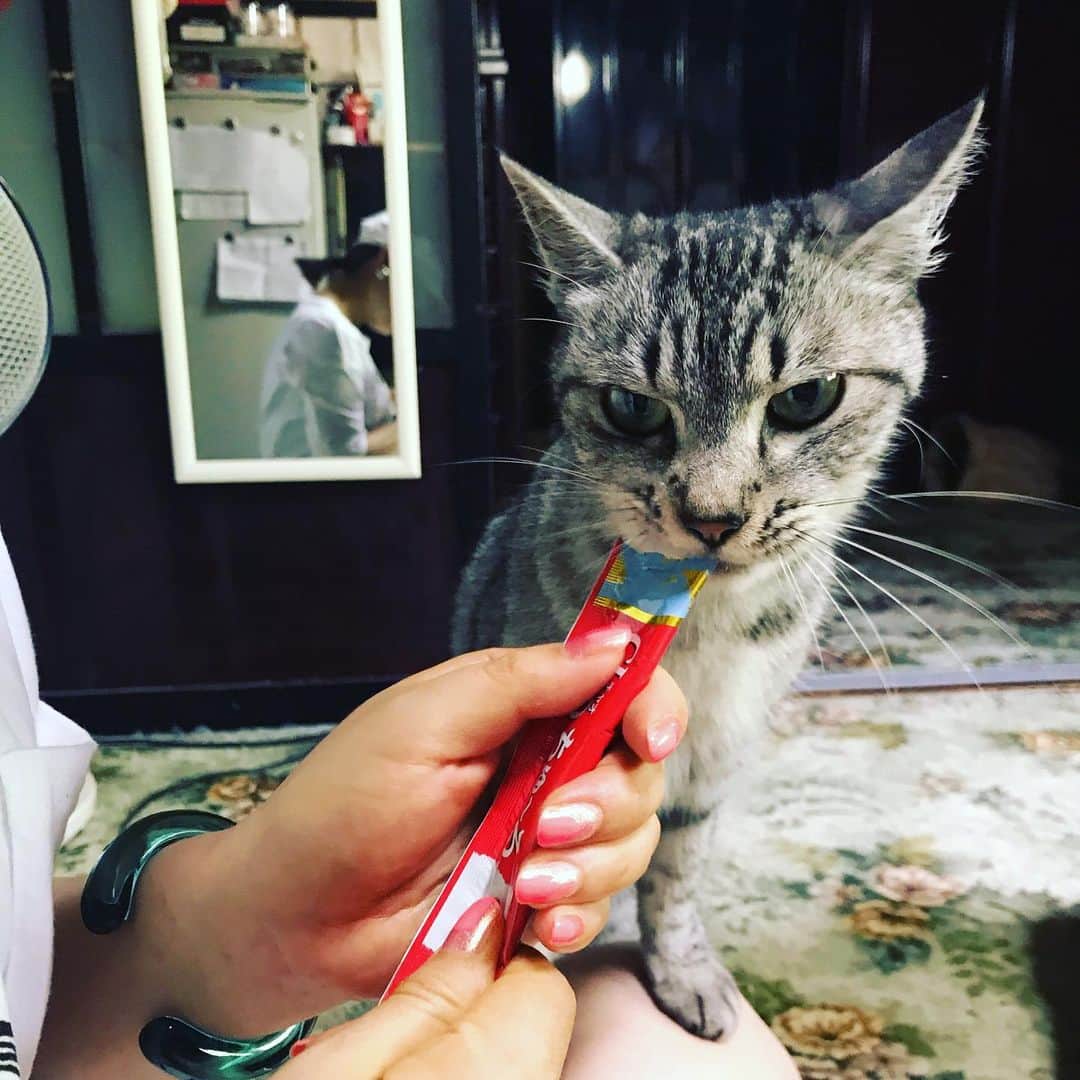 D[di:]のグルメインスタ