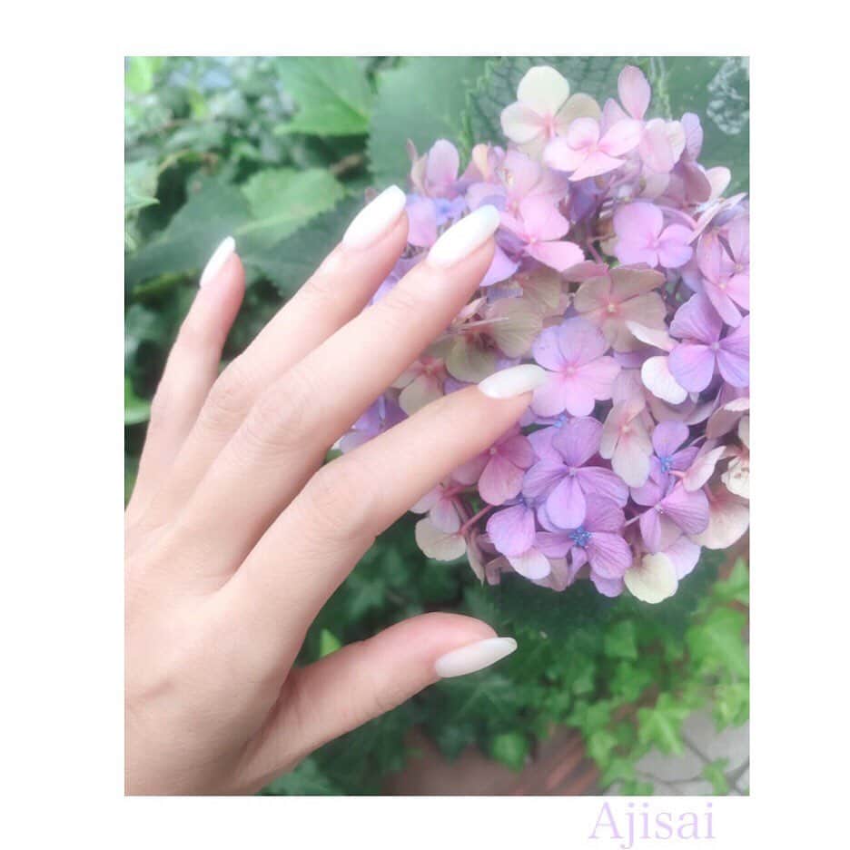 金子エミさんのインスタグラム写真 - (金子エミInstagram)「花が好きな私。今年は紫陽花の花を…ゆっくり眺めていませんでした。東京はもう紫陽花が見おさめ。最後の一輪をゆっくり眺めて私の手と一緒に記念写真を撮りました。ネイルをチェンジし、明日は大好きな老舗雑誌の撮影…楽しみです💠💕📸💅✨」7月9日 11時31分 - emikaneko1114
