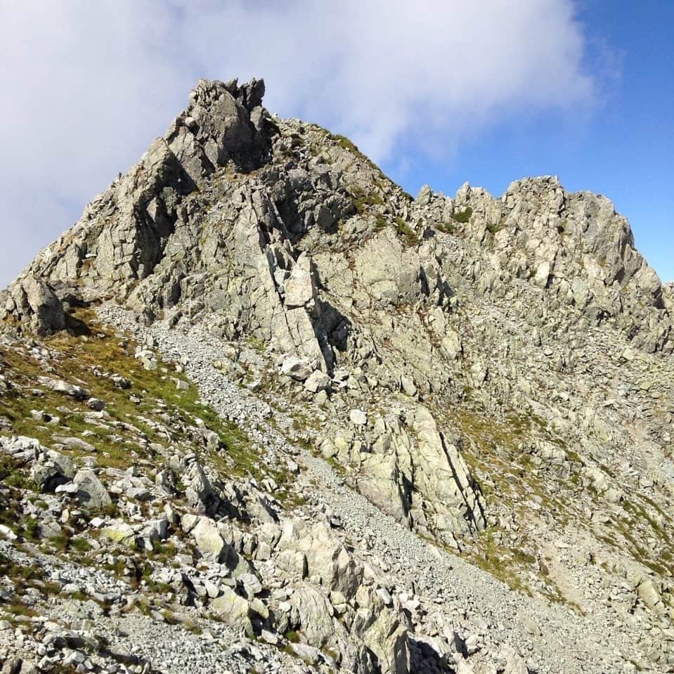 C3fit シースリーフィットさんのインスタグラム写真 - (C3fit シースリーフィットInstagram)「「良い登山とは、野心や誇りではなく心や本能で登ること」とは、イギリスのワイト島出身の作家、冒険家のベア・グリルスの名言。今年はどんな山頂をどんなマインドで挑むか。どんよりとした梅雨が開ければ登山のハイシーズンもすぐそこだ。  @goldwin_official #c3fit #c3fit_jp #GOLDWIN #スポーツするカラダに #運動機能を着る #MADETOPERFORM #WORKOUT #TRAINING  #RUNNING #TRAILRUNING #TREKKING #TRIATHLON #GOLF #RUGBY #RECOVERY #トレーニング #ワークアウト #ランニング #マラソン #トレッキング  #登山 #トレイルランニング #トレラン #トライアスロン #ゴルフ #ラグビー #リカバリー」7月9日 11時43分 - c3fit_jp