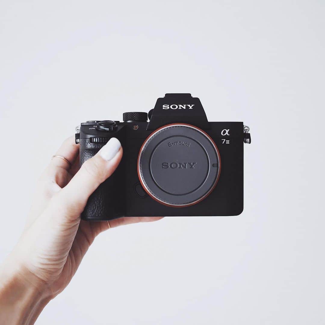 のインスタグラム：「Hello👋 My new partner #a7iii 📷﻿ ﻿ ﻿ ﻿ 半年以上色々考えた末、結局メイン機のa7iiをa7iiiにアップデートしたっ。わーーい。﻿ ﻿ 撮るお仕事のご依頼もお待ちしております🙇🏻‍♀️﻿ ﻿ ﻿ ﻿ #a7iii#sonya#sonya7iii#sonyalpha#sonyalpha7iii#sonyalphausers」