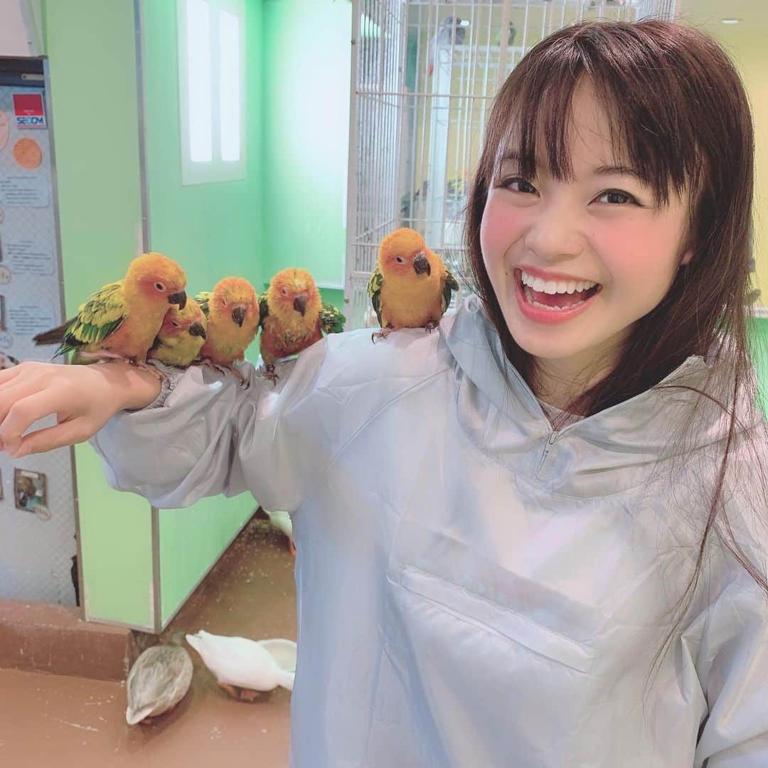 藤原亜紀乃さんのインスタグラム写真 - (藤原亜紀乃Instagram)「ペットほちい❤ #動物 #動物大好き#グラビア #gravure #Japanese #japanesegirl  #毎日投稿 #頑張るの #フォローミー #followme #instalike #笑顔の押し売り」7月9日 11時40分 - akitknn1023