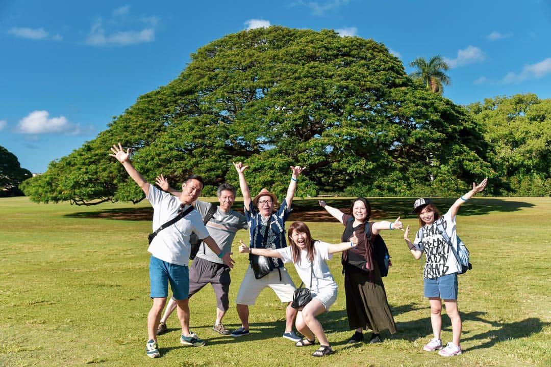 kawaiihawaiitourさんのインスタグラム写真 - (kawaiihawaiitourInstagram)「カワイイ・ハワイ・ツアーのどこでもツアーでは、日立の樹こと、この木なんのも大人気です‼️😄🤙 当社では、お客様が行きたいところを自由に選んでもらって好きなようにツアーが回れます。 --------------------------------------------------------- ❤️Kawaii Hawai'i Tour / カワイイ・ハワイ・ツアー ❤️✨🌈プラン🌈✨ (ハワイ州政府公認会社 PUC 497-C) ✔︎日本人経営 日本人ガイド付きツアーなので安心️🏝✨😎👍🏽 ✔︎あなただけのオリジナルツアーが作れます ✔︎初ハワイ満喫コース、オススメスケジュールご用意しています‼︎ ✔︎ガイドブック派？それともローカル体験派？ ✔︎なんでもご相談下さい 💁🏽‍♂️💁🏽☀️🏝✨😎👍🏽 ✔︎お写真もたくさんお撮りします🤳 -------------------------------------------------------- お客様の笑顔が私達の笑顔をモットーにツアーをさせてもらっています🚙🚖🚘 --------------------------------------------------------- #ハワイ #hawaii #カワイイハワイハワイツアー #kawaiihawaiitour #ハワイどこでもツアー  #ハワイ貸し切りツアー #ハワイツアー #ハワイオプショナルツアー #ハワイチャーターツアー  #インスタ映え  #ファインダー越しの私の世界  #ハワイ旅行 #天国の海  #ラニカイビーチ #ピルボックス #ピンクピルボックス #ハワイウェディング #ハワイウェディングフォト #ハワイハネムーン #ハワイ挙式  #ハレイワ #カイルア  #アウラニディズニー #カカアコ #カカアコウォールアート #女子旅  #ハワイ観光  #モアナルアガーデン #この木なんの木 #日立の樹」7月9日 11時59分 - kawaiihawaiitour
