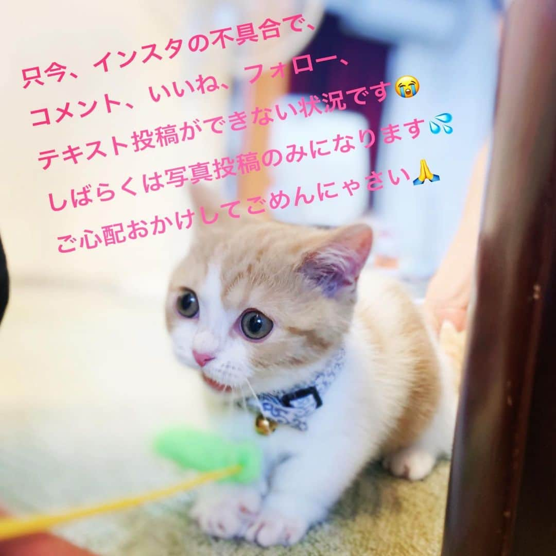 結城さなえさんのインスタグラム写真 - (結城さなえInstagram)7月9日 12時04分 - yuukisanae