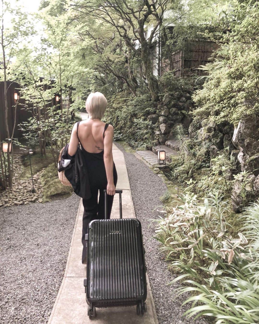 suzuka noseのグルメインスタ