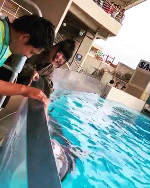 のインスタグラム：「I Love Dolphin🐬❤️ I want to swim with a dolphin♡ #えのすい #Ainstagram」