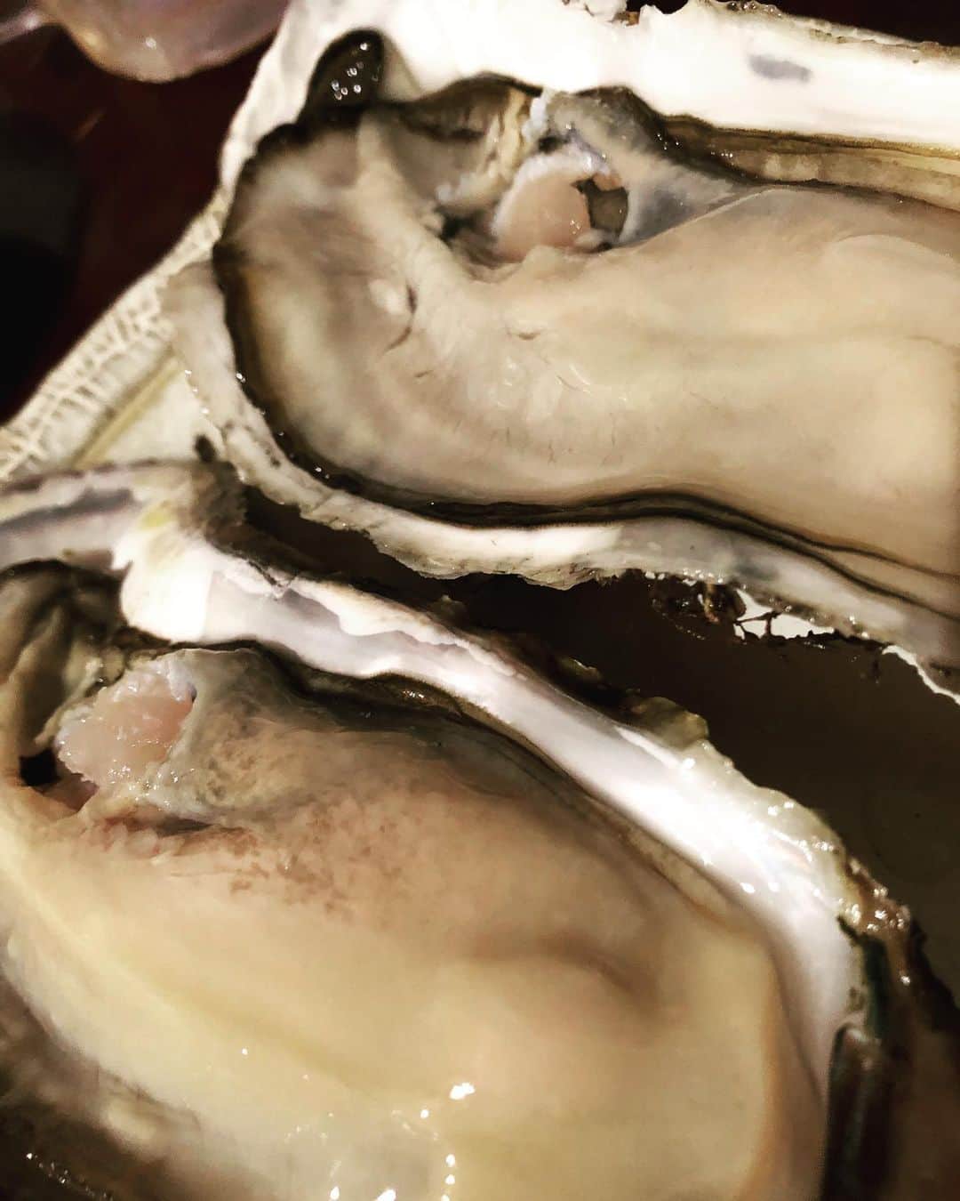 吉川正洋さんのインスタグラム写真 - (吉川正洋Instagram)「今夜は貝をたくさんいただきました。無類の貝類好きにはたまらぬ夜でした。」7月10日 0時40分 - dhyoshikawa