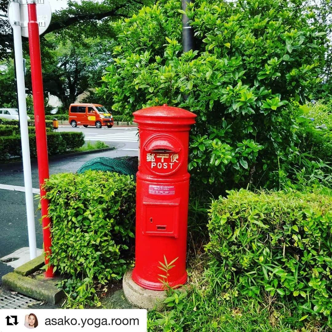 芥川舞子さんのインスタグラム写真 - (芥川舞子Instagram)「せめて最後は五七五にして欲しかったよ。  #Repost @asako.yoga.room with @get_repost ・・・ I did 20 minutes yoga. 寝る前、20分間のヨガをしました。  例えば 握っていたと思っていた手を突然パッと離されたように感じることがあっても  顔を少し上げてみれば 信頼する先生たちのたくさんの手 未熟な私を信頼して下さるお客さんたち 大きな愛で接してくれる家族がいた  感謝しかない  吸う息でもう１つ顔を上げると 失ったものは何も無く、大切なものだけが浮かんできたただけなことに気づく  以前は物事をプラスとマイナス 気持ちもポジティブとネガティブにしか分けることができなかった。人に対しても 世の中全て対極のものでできていると教わるから  そもそも、そんなくくりなんてないのかな。 ヨガを実践して、呼吸から広がっていく物事をただ｢ああ、そうなんだ｣と ｢ヨガは自分一人の練習でしか効果と気付きを得られない｣ の言葉の意味が、より体と心に染みてくる  練習とともに、感謝の気持ちが込みあげる  おやすみなさい ※写真は、大学通りにあった旧ポスト 時が流れても、真っ赤に凛と立つポストかな  #ハートオブヨガ#ヨガのある生活#赤いポスト#大学通り」7月10日 0時45分 - maiko.akutagawa