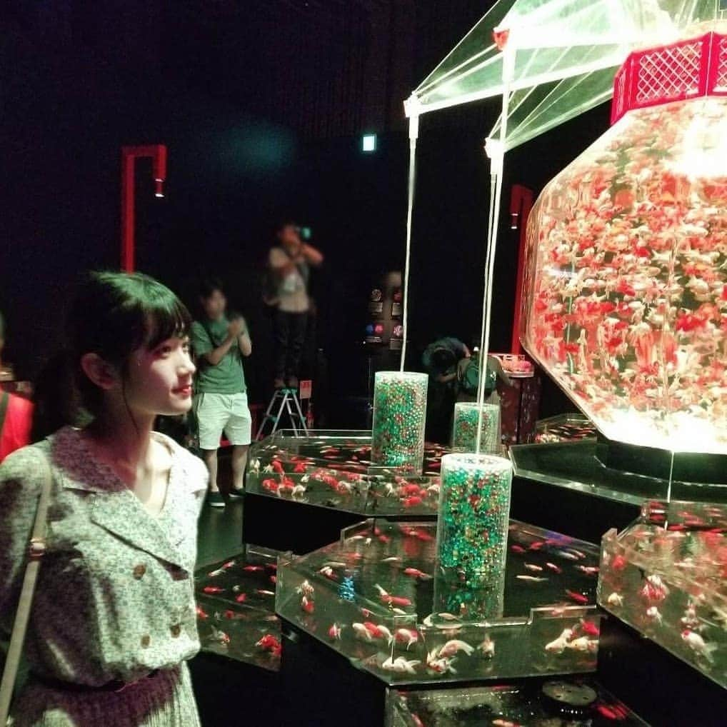 篠原葵さんのインスタグラム写真 - (篠原葵Instagram)「🎐 きんぎょ #アートアクアリウム」7月10日 0時47分 - aoi___shinohara