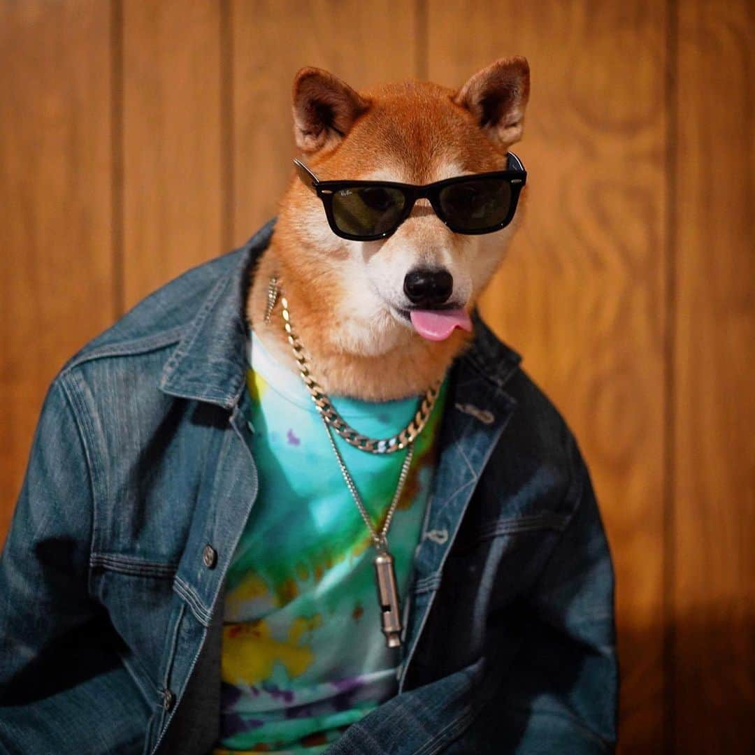 Menswear Dogさんのインスタグラム写真 - (Menswear DogInstagram)「May Dog Blep You 🙏🏼」7月10日 1時11分 - mensweardog