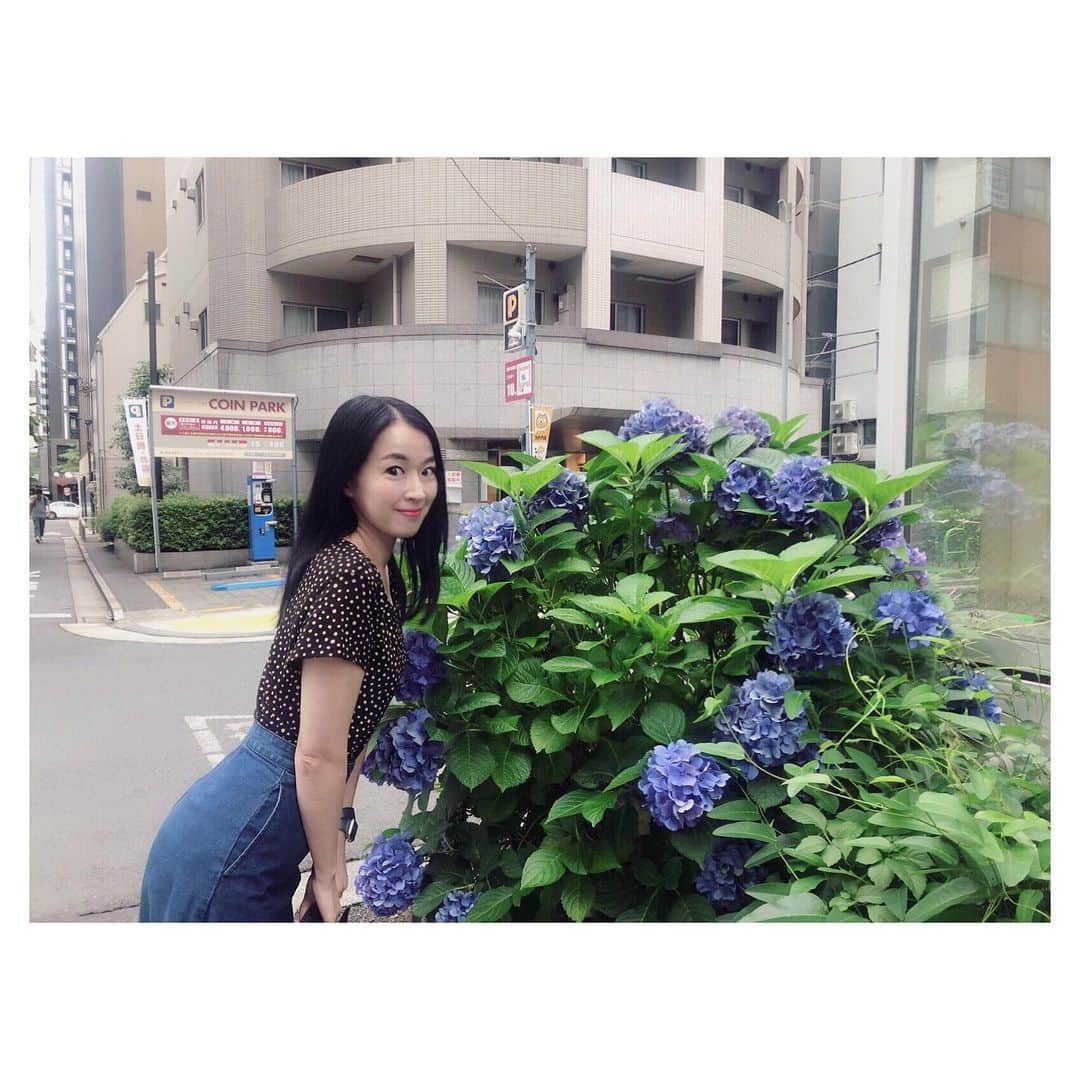 カン・ハンナさんのインスタグラム写真 - (カン・ハンナInstagram)「.﻿ ﻿ ﻿ ただただこの時間の流れを受け入れて﻿ ﻿ ただただ生きていくことに専念する7月にします🌸﻿ ﻿ でもたまには眩しい太陽をお見せてください😌 ﻿ ﻿ ﻿ ﻿ ﻿ ﻿ ﻿ #7月なのに寒い #東京の夏 ﻿ #紫陽花 #梅雨 #goodluck ﻿ ﻿」7月9日 17時20分 - kang_hanna_jp