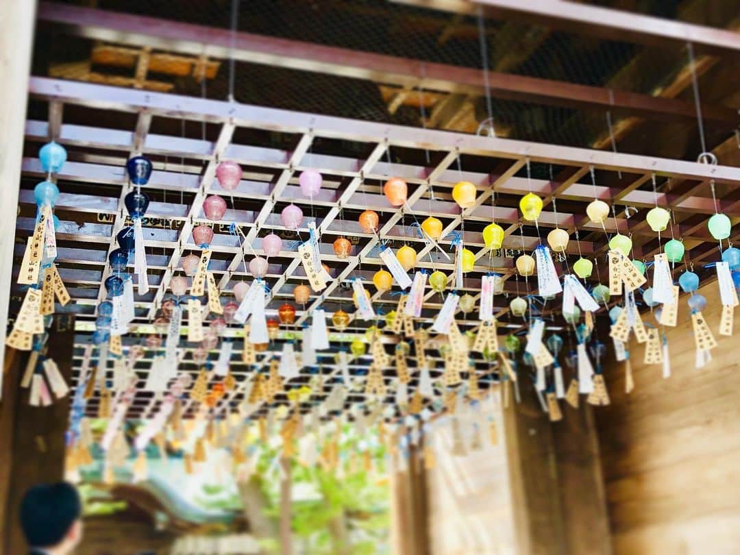 crie style クリエすずき建設のインスタグラム：「先日の七夕お休みをいただき、『Suchmos』のライブを観に超弾丸で行ってまいりました、新潟！ 時間を作って立ち寄った新潟市内にある白山神社では、 丁度 『七夕まつり』 が開催されており、 多くの方で賑わっておりました💡 たくさんの風鈴、とっても涼しげで美しい演出♥ またキレイに咲き誇っていた紫陽花は、手水舎にも💡 素敵な時間を過ごしました(๑˃̵ᴗ˂̵) ＊ ＊ 柏でも今月終わりに開催されますね、『柏まつり』。 柏駅前が本当に多くの人で溢れ 大変賑わうこのお祭りも、今回 令和一回目となる 記念すべき日に。 柏駅前にたくさんの笑顔が溢れますように( ˘ω˘ )  P.S. もちろんライブ、最高でした！ 詳細は、HP内『クリエ通信』にて綴らせていただきますので、ぜひご覧くださいませ( •̀ .̫ •́ )✧ (広報 丸山)  #新潟#白山神社 #七夕まつり#七夕 #Suchmos#サチモス#ライブ #SuchmosのSが‼︎ #変わらずにいるために、変わりつづける。 #柏まつり#柏まつりの出店にあるじゃがバタは無敵 #crie_style #クリエ #楽しく人生をデザイン #クリエすずき建設 #注文住宅 #平屋 #リノベーション #リフォーム #バリアフリー #ユニバーサルデザイン #住まいづくり #まちづくり #柏スーパー流しそうめん #UDC2 #ウラカシ百年会 #柏市 #柏 #kashiwa」
