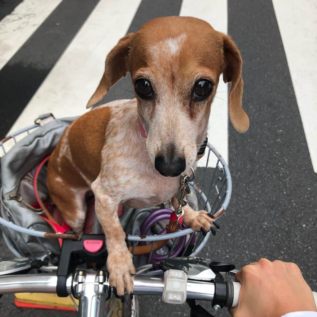 黒田愛美のグルメインスタ