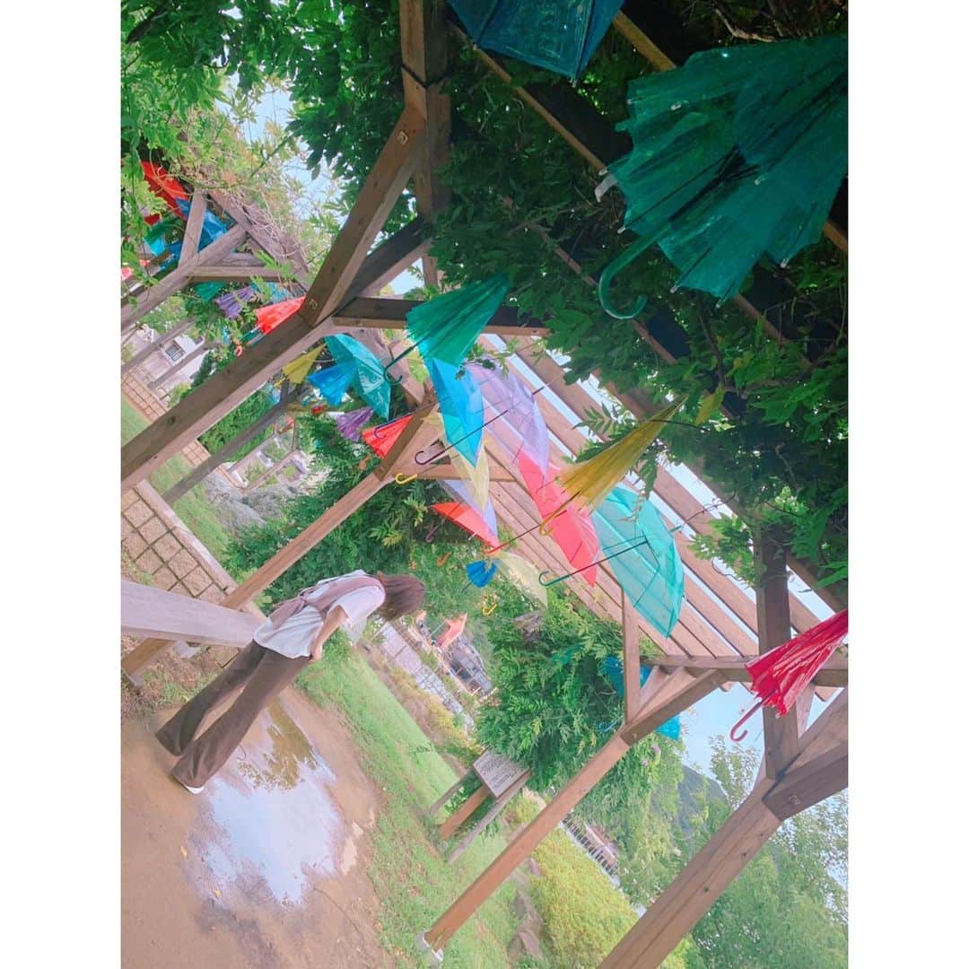 山田菜々美のインスタグラム：「. ぴちぴち ちゃぷちゃぷ ランランラン🐸 . #雨 #傘 #淡路島」