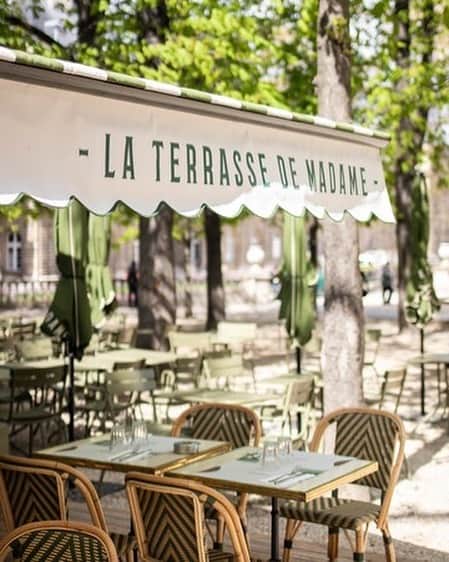 Vogue Parisさんのインスタグラム写真 - (Vogue ParisInstagram)「#VogueAddressBook The sun is finally shining on the French capital so we’re heading to @LaTerrassedeMadame in the middle of the Jardin du Luxembourg. Freshly opened, this spot in the sunshine offers visitors the best of French cuisine from the perfect pastries in the morning to salads at lunch and planches when the sun starts to dip. #Terrace #Paris」7月9日 17時46分 - voguefrance