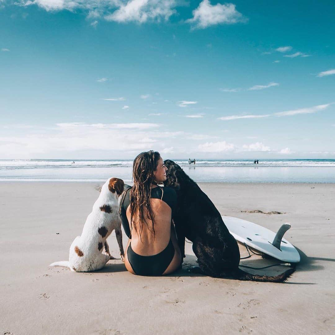 PAUL HEWITTさんのインスタグラム写真 - (PAUL HEWITTInstagram)「Some things just fill your heart without trying. 🐾💗⚓️ (photo @mvandersluis) #getAnchored #paulhewitt __ #beach #dogs #bestfriends #surf #doglover #doglove #placetobe #travelwithdogs #beachlove #ocean #sea #summer」7月9日 18時25分 - paul_hewitt