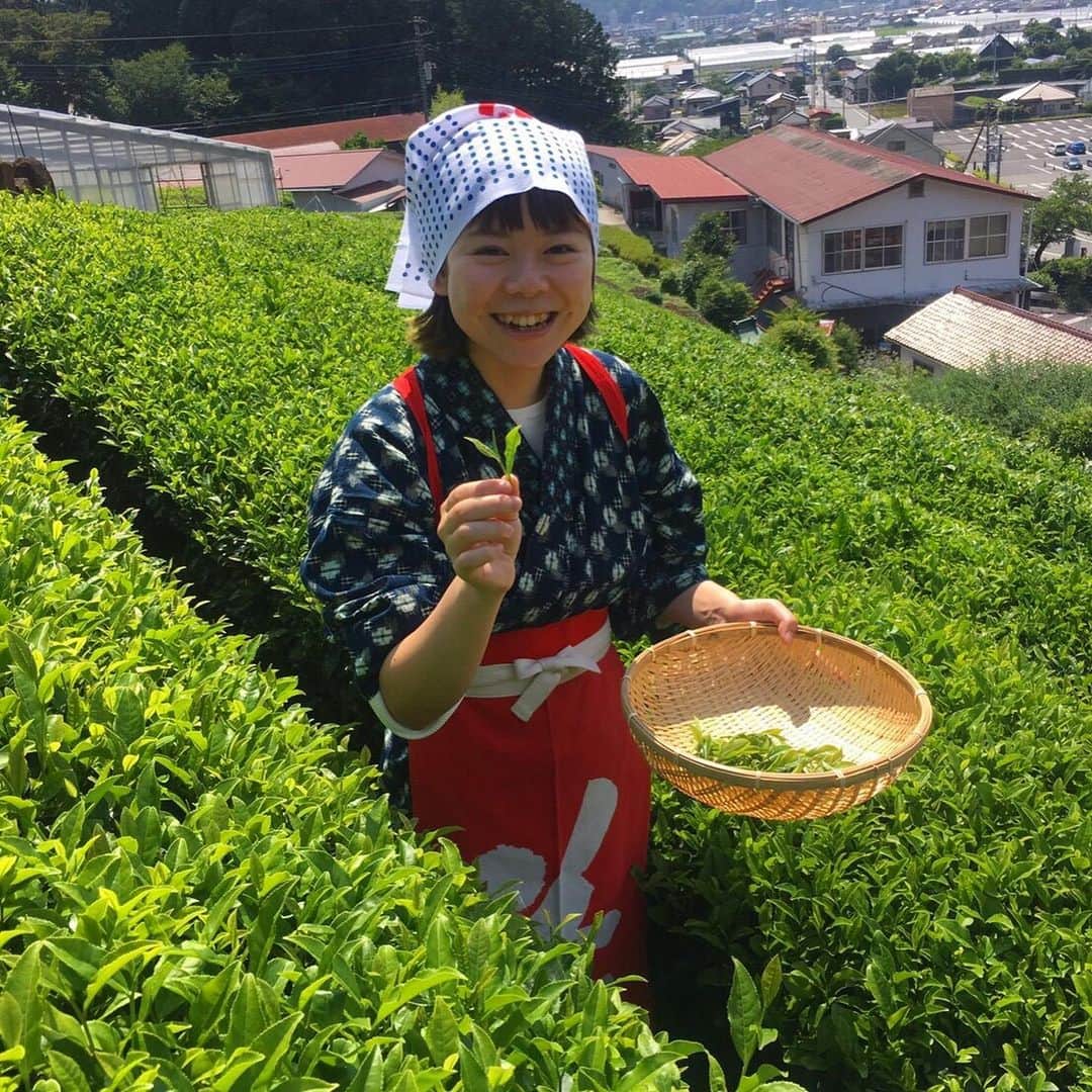 DJみそしるとMCごはんさんのインスタグラム写真 - (DJみそしるとMCごはんInstagram)「先月、茶摘みした新茶を烏龍茶に！干して、もんで、炒って完成。ナイスな衣装はお茶畑で着せてくれた✌️ #静岡のお茶」7月9日 18時32分 - misosirugohan