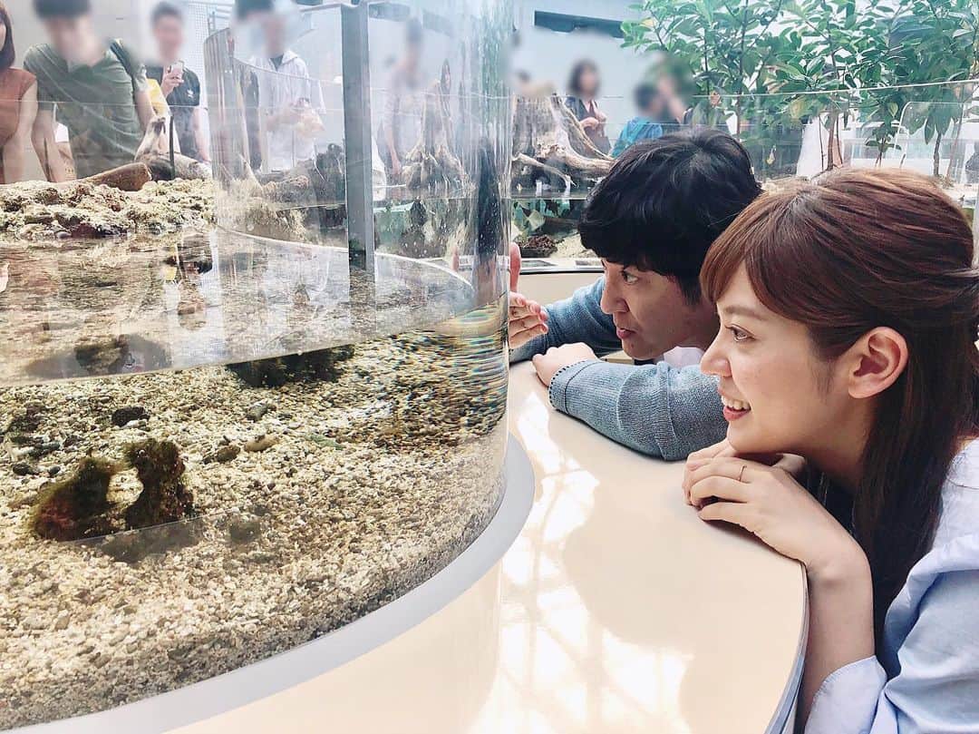 のインスタグラム：「. ココリコの#田中直樹 さんと、 #名古屋港水族館 へ🐠  田中さんの海の生き物に対する マニアックすぎる知識と情熱。 語れる大好きなものがあるって素敵ですね☺️」