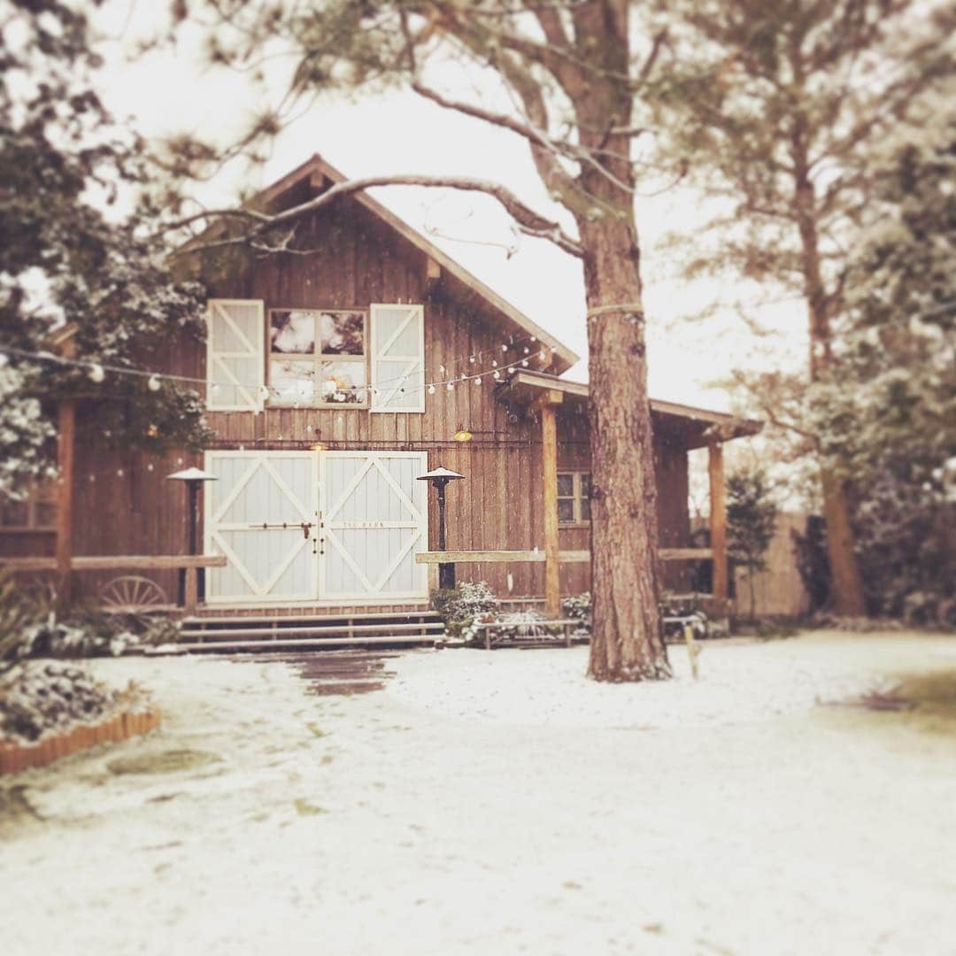 BARN&FOREST148のグルメインスタ