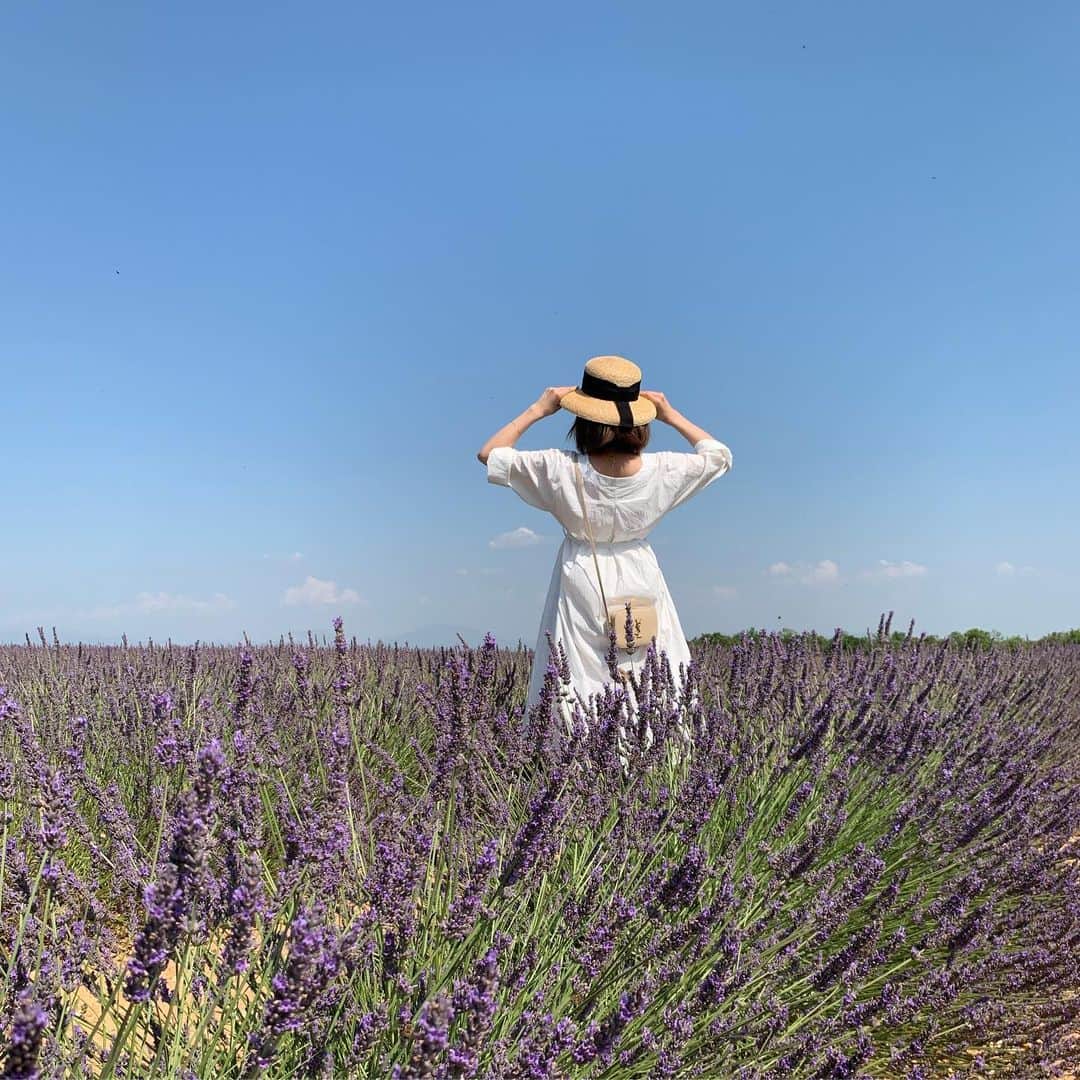 Sonoko Suzukiさんのインスタグラム写真 - (Sonoko SuzukiInstagram)「💜💜💜 * * * * * #Lavender #aixenprovence  #vacance #summerholidays #そのことりっぷ #sonoko_et_france」7月9日 19時40分 - _sonnie.co_