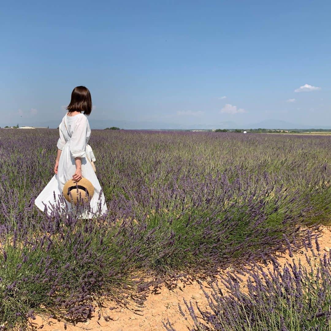 Sonoko Suzukiさんのインスタグラム写真 - (Sonoko SuzukiInstagram)「💜💜💜 * * * * * #Lavender #aixenprovence  #vacance #summerholidays #そのことりっぷ #sonoko_et_france」7月9日 19時40分 - _sonnie.co_