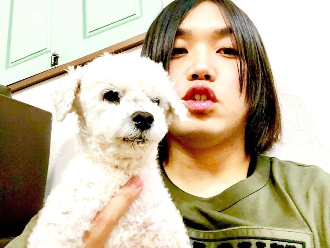 トミーさんのインスタグラム写真 - (トミーInstagram)「ビーちゃん  #実家」7月9日 20時18分 - tommymizutamaribond