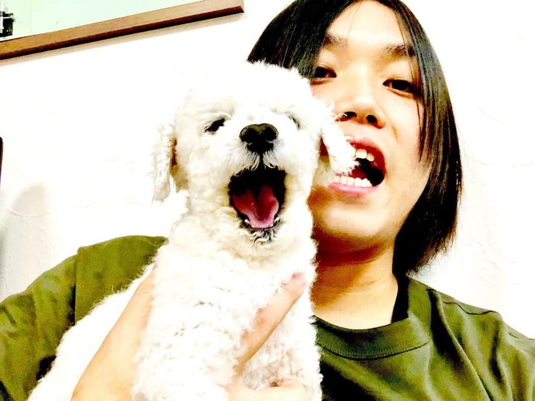 トミーさんのインスタグラム写真 - (トミーInstagram)「ビーちゃん  #実家」7月9日 20時18分 - tommymizutamaribond