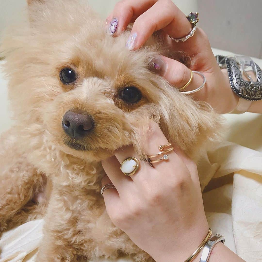 yukichi_yukiのインスタグラム