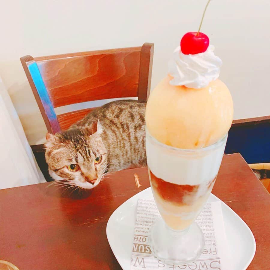 くまみきのグルメインスタ