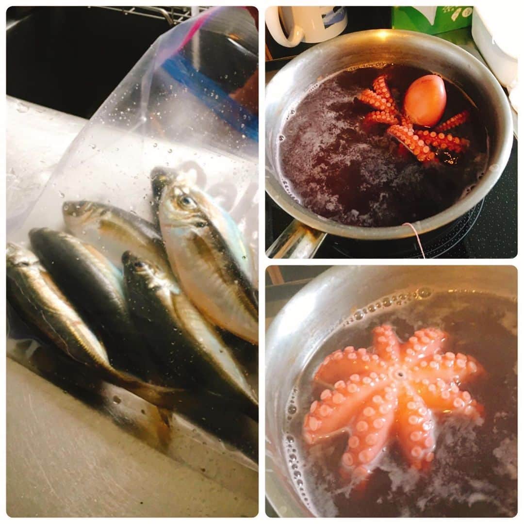 佐藤智美のインスタグラム：「釣りたてタコ🐙とアジ🐟をいただき申した〜✨ う〜ん… どうしよう……🤔❓ #タコ  #タコ釣り  #アジ  #アジング」