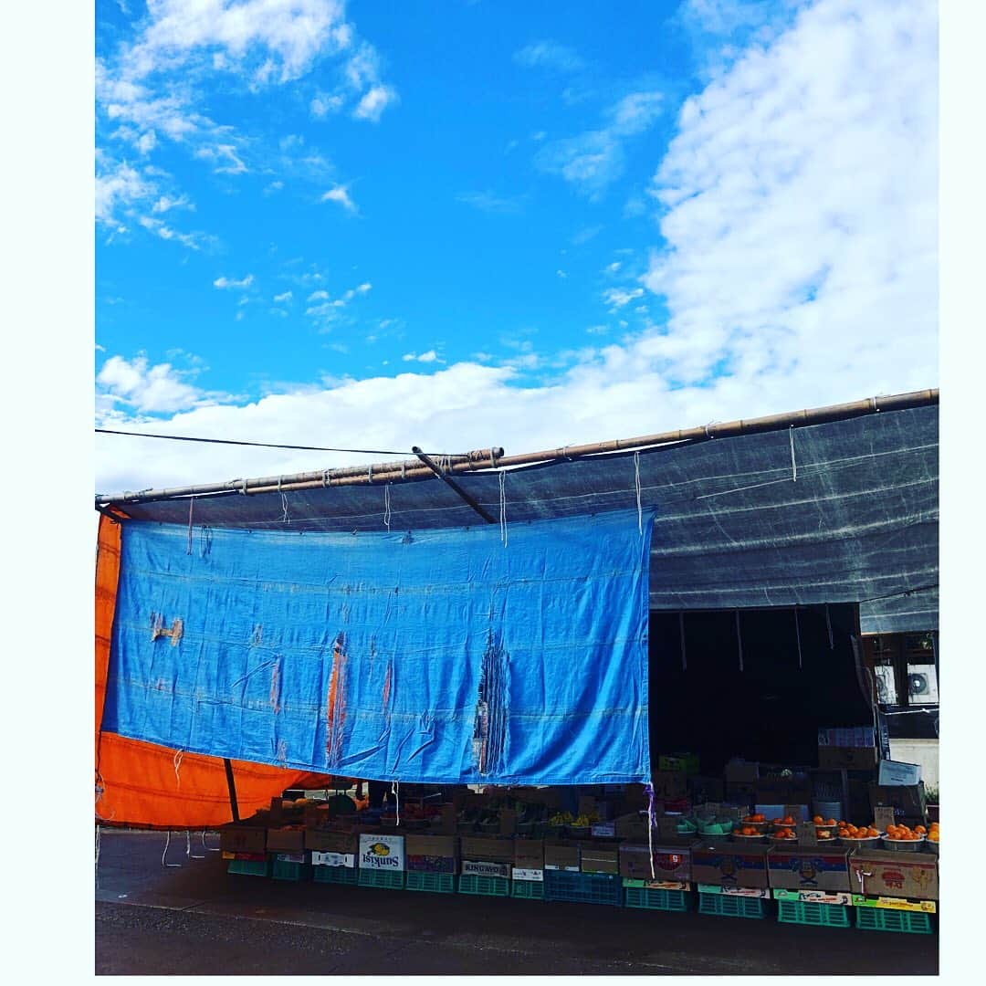 山本千織のグルメインスタ