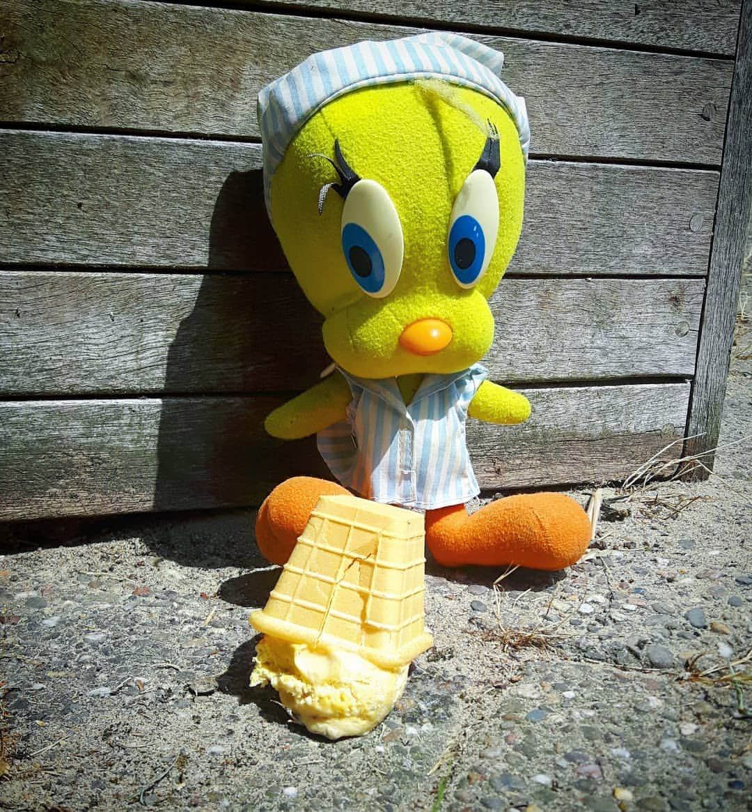 Little Yellow Birdさんのインスタグラム写真 - (Little Yellow BirdInstagram)「It is better to have loved and lost,  than never to have loved at all...but it's even better to have loved and lost and learned: don't drop your icecream cone!!! RIP Pieter #cheerpieterup @fermate_and_pieter  #honeygroveteapartytuesday #littleyellowbird #tweety #tweetykweelapis #adventures #yellow #bird #tuesday #icecream #lovedandlost #sad #vanilla #cone #upsidedown #summer #ijsje #stuffedanimalsofinstagram #plushiesofinstagram」7月9日 21時18分 - tweetykweelapis