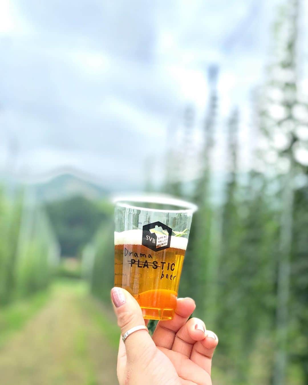 小谷津友里さんのインスタグラム写真 - (小谷津友里Instagram)「🍻👒🌱💚 土曜日に京都へ行ったと ストーリーズに書きましたが 雑誌Hanakoの撮影でした♡ キリンビール株式会社さんとのプロジェクトが進行中です🍻 @springvalleybrewery_official . . ホップ畑を見学&ホップ収穫体験。 ホップやビールについての講義を受けました✏️詳しくは8月発売のHanakoに掲載されるので たのしみにしていてくださいね 🌟 . . ✍ 美味しいものが 私たちの元に届くまでに 多くの工夫があり 愛情が込められていることを 感じました😊💕 普段 私たちが食べているものが 生まれたのには 歴史や地理が関係していたり 様々な要素からなっているんだなぁと💫✨ 美味しいものを、ただ美味しかった🍽で終わらせるのではなく 背景を 理解して咀嚼していきたいと思いました ‪⸜(*ˊᵕˋ* )⸝‬ 最後まで読んでくれてありがとうございました🥰 明日もお仕事がんばろーっ😊 . . .  #Hanako#hanako_magazine #ハナコラボ #京都#与謝野町 #ホップ畑#ホップ#キリンビール#ビール#クラフトビール #beer#生産者 #撮影#ロケ#kyoto#自然#green#麦わら帽子#food#産地 #instagood #instalike #travel#旅#travelgram #japanesefood#こやゆり旅 #japan#japanesegirl #こやゆりコーデ　#こやゆり旅」7月9日 21時25分 - yurikoyatsu
