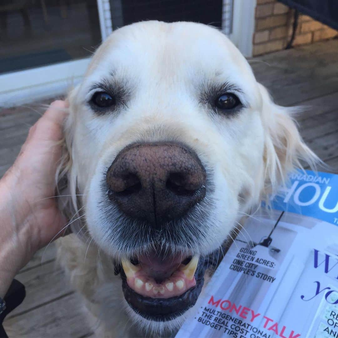 ジェフリー・バトルのインスタグラム：「Happy 8th Birthday to my Cooper.  Wish I could spend it with you but I’ll be home soon! 🦴 🎂」