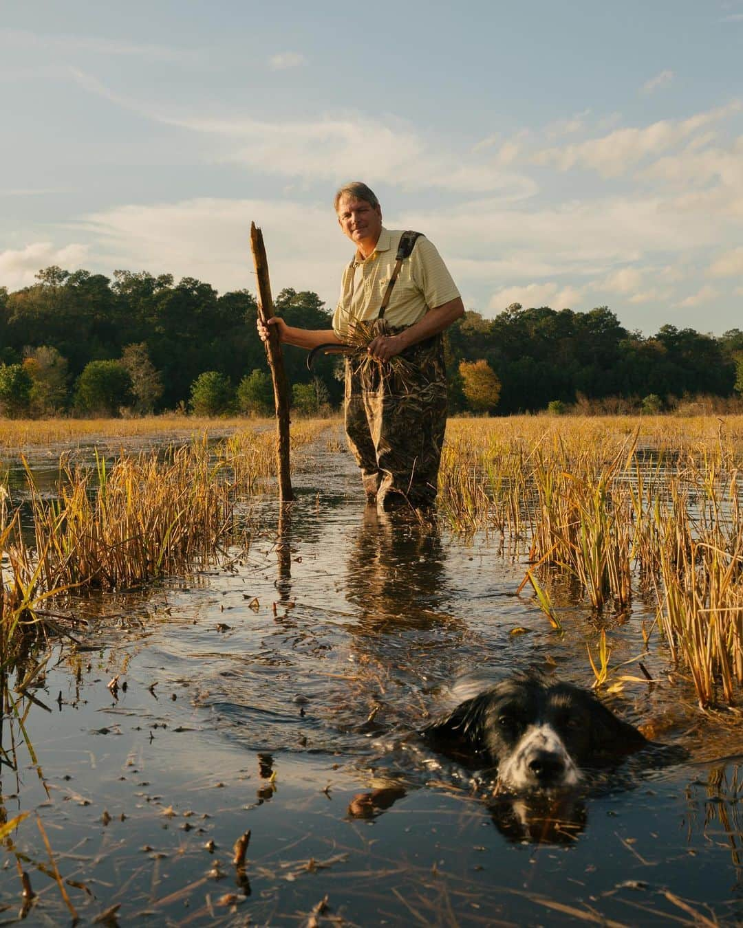 thephotosocietyさんのインスタグラム写真 - (thephotosocietyInstagram)「Photo by @MichaelGeorge // Here stands Jimmy Hagood amidst his 30 acres of Carolina Gold Rice. Hagood follows the traditional form of Lowcountry rice growing on his farm which is located about an hour outside of Charleston, South Carolina. In 2017 he almost lost the fields to Hurricane Matthew. As climate change exacerbates the frequency of large storms, the agriculture industry is struggling to hold onto long term optimism. In this image, Hagood's dog June is swimming towards the camera. // #carolinagold #jimmyhagood #carolinagoldrice #carolinarice #rice #ricefarm #southcarolina #charleston #natgeotravel #natgeo」7月9日 21時40分 - thephotosociety