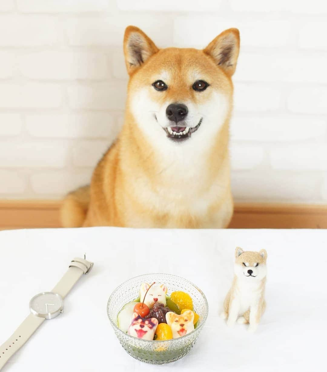 柴犬 ゆりさんのインスタグラム写真 - (柴犬 ゆりInstagram)「2019.7.9 いつかのおやつ🕒 抹茶あんみつにフェリシモの#柴犬ほうずい をトッピング💕 かわいすぎて食べるの勿体なかったけど、賞味期限が少ーし過ぎてたのでついに😂  お気に入りの腕時計は @mavenjapan さんの #mavenwatches 　全国のUNITED ARROWS BEAUTY &YOUTH で先月末から販売スタートされたそうです⌚ 気になる方はぜひ店頭で見てみてください☺️ ・ ・ ・ #腕時計 #時計 #マベン #マベンウォッチズ  #あんみつ #おうちカフェ #柴犬 #犬 #dog #dogstagram #dogsofinstaworld #dogsofinstagram #shibainu #shibastagram #sweets #igersjp」7月9日 21時49分 - shibainuholic