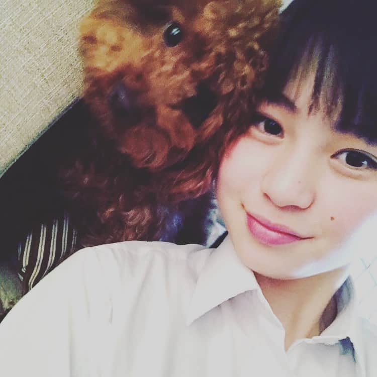 三浦理奈さんのインスタグラム写真 - (三浦理奈Instagram)「🐶❤️ #トイプードル」7月9日 21時58分 - rina.miura.official