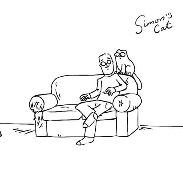 のインスタグラム：「Every night in⠀ ⠀ 📹@simonscatofficial⠀ ⠀ #meowed #doodles #9gagmeowdle #simonscatofficial #catanimation #cartoon #dailystruggle #livingwithacat」