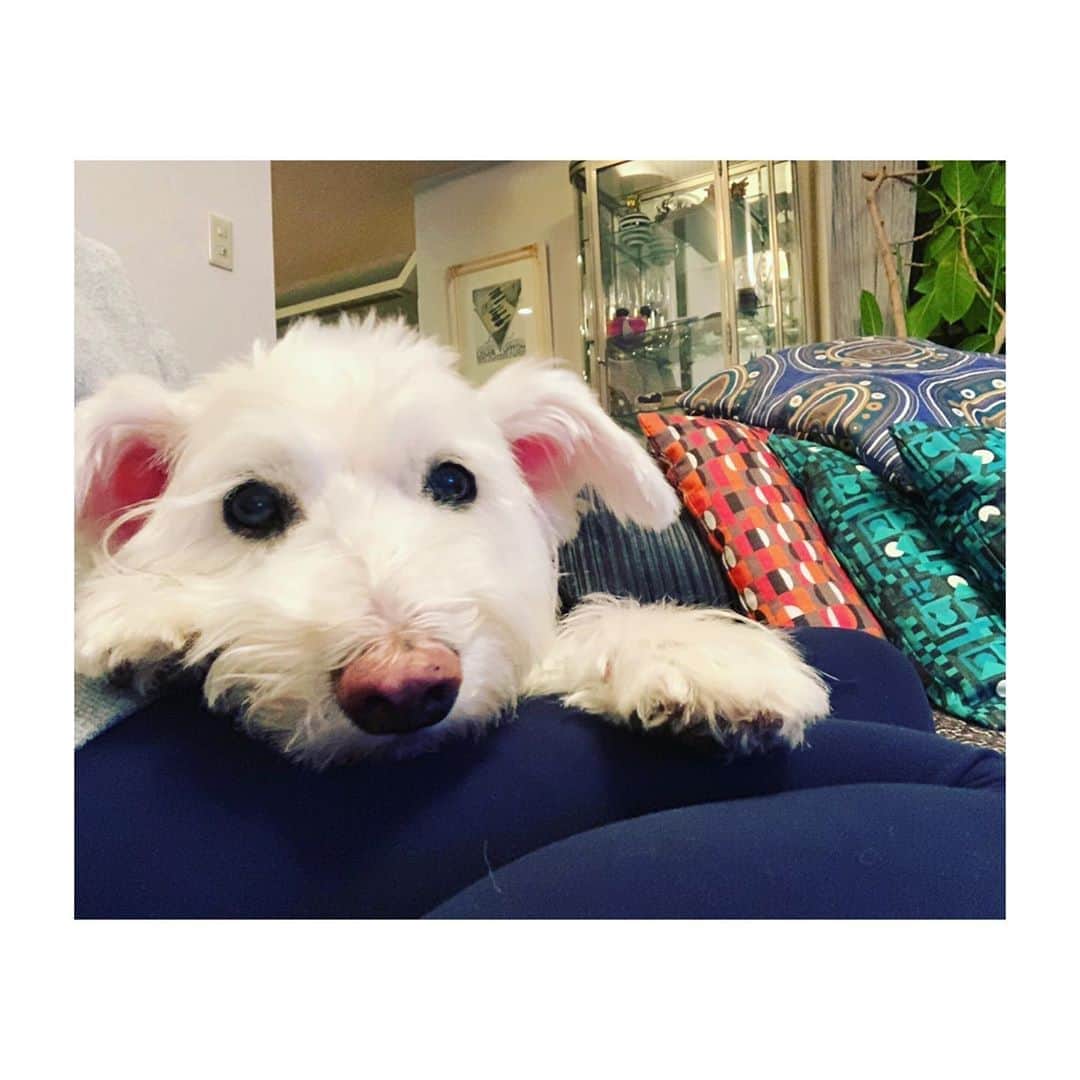 HiRAO INCのインスタグラム：「. lann❤️ #mutsulann」