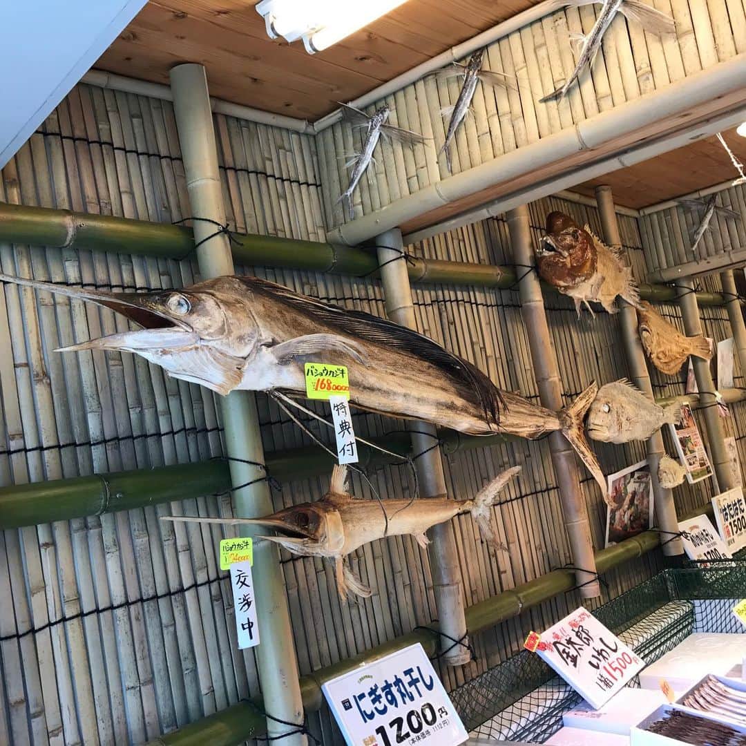 trick umekitaのグルメインスタ