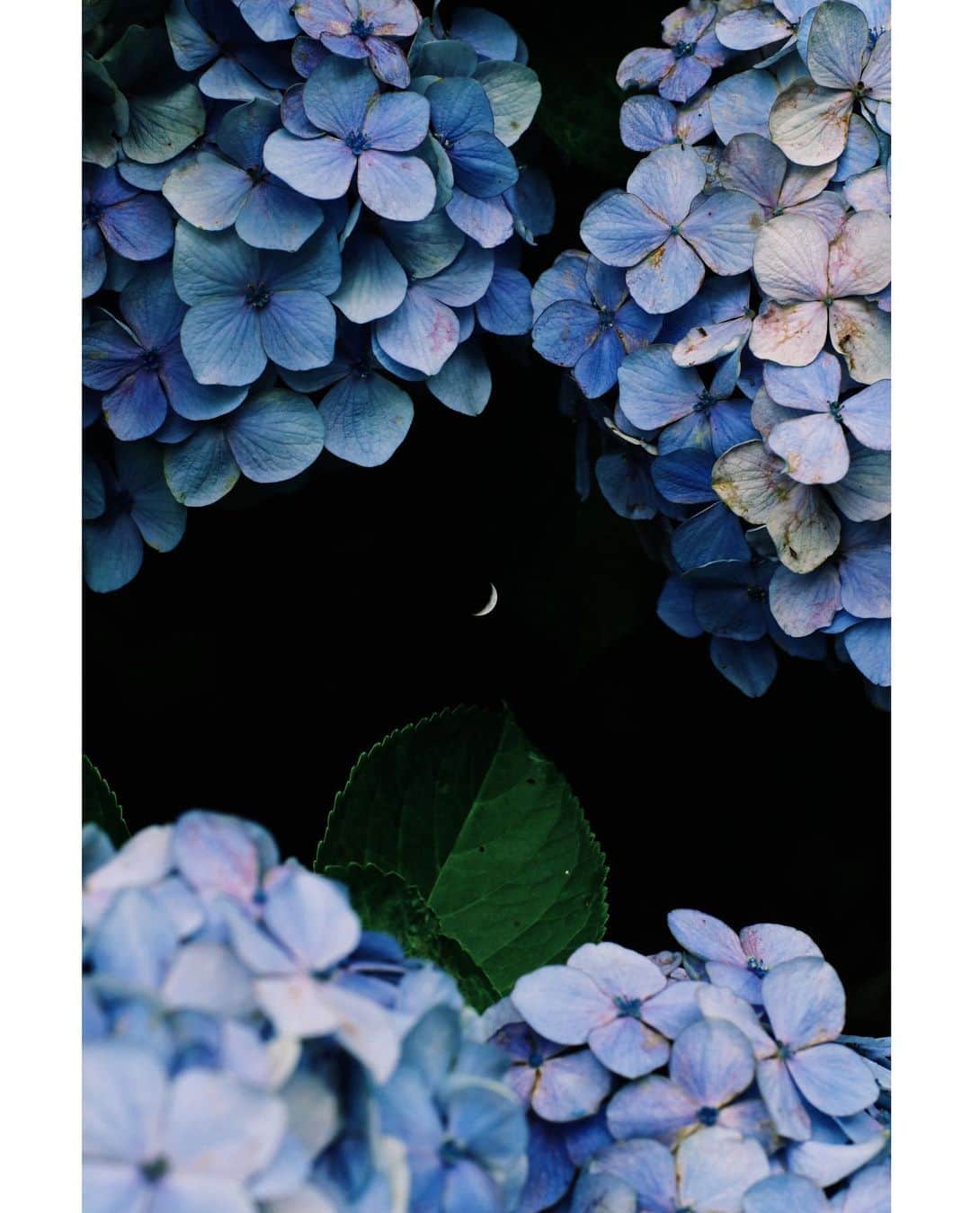 メグのん♡ A k i k oのインスタグラム：「♡Azure night . . 夜は、瑠璃色。 . . ♡」