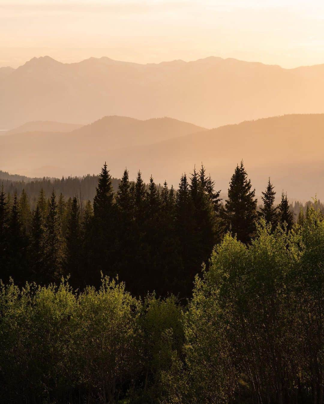 National Geographic Travelさんのインスタグラム写真 - (National Geographic TravelInstagram)「Photos by @taylorglenn | These are a few images of a beautiful summer evening on Togwotee Pass near Jackson Hole, Wyoming. I met up with my buddies Jake and Isaac to search for a grizzly bear that has been in the area. We did not manage to see her, but the views of the Tetons and the incredible layers of color and texture at sunset were a fair consolation. Follow me, @taylorglenn, for more from Wyoming and beyond. #jacksonhole #grandtetonnationalpark #wyoming」7月9日 22時25分 - natgeotravel